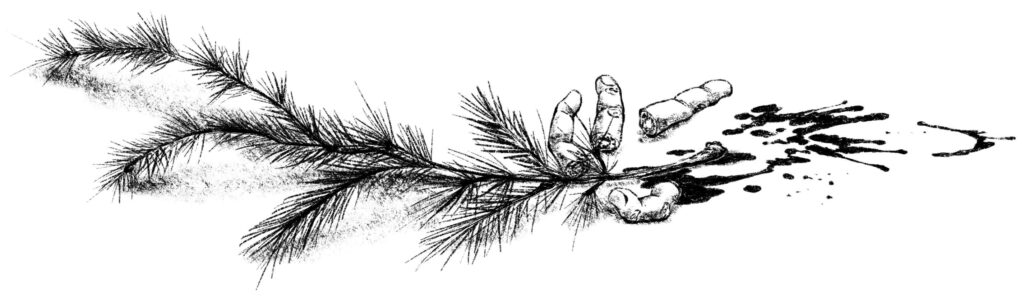 Severed fingers lie amongst evergreen pines.